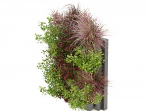 Collection Plant Vol 243 - Blender Model 3D Model