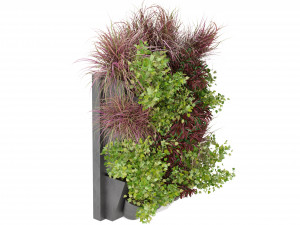 Collection Plant Vol 243 - Blender Model Model 3D