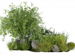Planta de Cole&ccedil;&atilde;o Vol 244 - Modelo Blender Modelo 3D