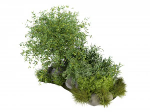 Planta de Cole&ccedil;&atilde;o Vol 244 - Modelo Blender Modelo 3D