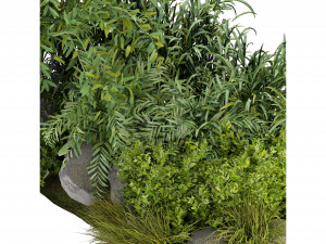 Collection Plant Vol 244 - Blender Model Model 3D