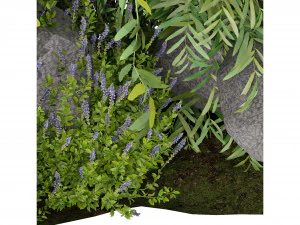 Planta de Cole&ccedil;&atilde;o Vol 244 - Modelo Blender Modelo 3D
