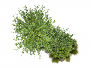 Collection Plant Vol 244 - Blender Model Model 3D