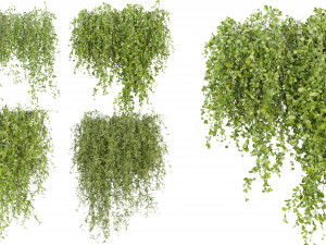 Collection Plant Vol 245 - Blender Model 3D Model