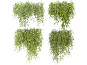 Collection Plant Vol 245 - Blender Model 3D Model