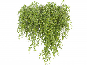 Collection Plant Vol 245 - Blender Model 3D Model