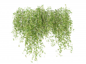 Collection Plant Vol 245 - Blender Model 3D Model