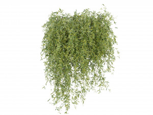 Collection Plant Vol 245 - Blender Model 3D Model