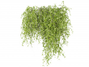 Collection Plant Vol 245 - Blender Model 3D Model