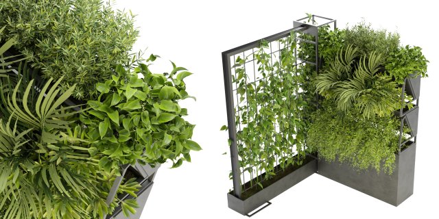 Collection Plant Vol 246 - Blender Model 3D Model .c4d .max .obj .3ds .fbx .stl .blend 