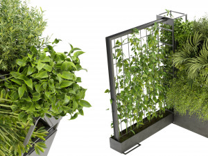 Collection Plant Vol 246 - Blender Model 3D Модель