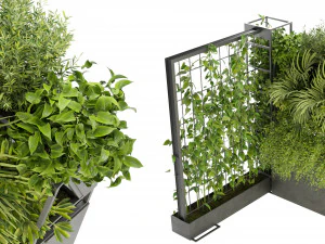 Planta de Cole&ccedil;&atilde;o Vol 246 - Modelo Blender Modelo 3D