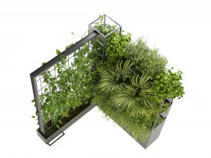 Collection Plant Vol 246 - Blender Model 3D Model