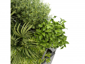 Collection Plant Vol 246 - Blender Model 3D Model