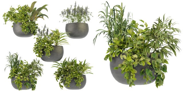 Collection Plant Vol 247 - Blender Model 3D Model .c4d .max .obj .3ds .fbx .stl .blend 