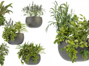 Collection Plant Vol 247 - Blender Model Model 3D