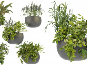 Planta de Cole&ccedil;&atilde;o Vol 247 - Modelo Blender Modelo 3D