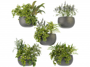 Collection Plant Vol 247 - Blender Model 3D Model