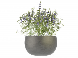 Collection Plant Vol 247 - Blender Model 3D Model