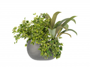 Collection Plant Vol 247 - Blender Model 3D Model