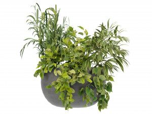 Collection Plant Vol 247 - Blender Model 3D Model