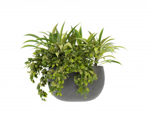 Collection Plant Vol 247 - Blender Model 3D Model
