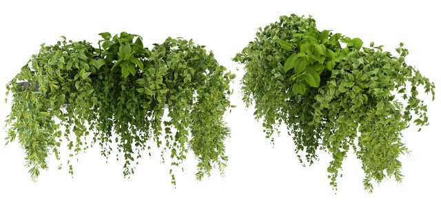 Collection Plant Vol 248 - Blender Model 3D Модель .c4d .max .obj .3ds .fbx .stl .blend 