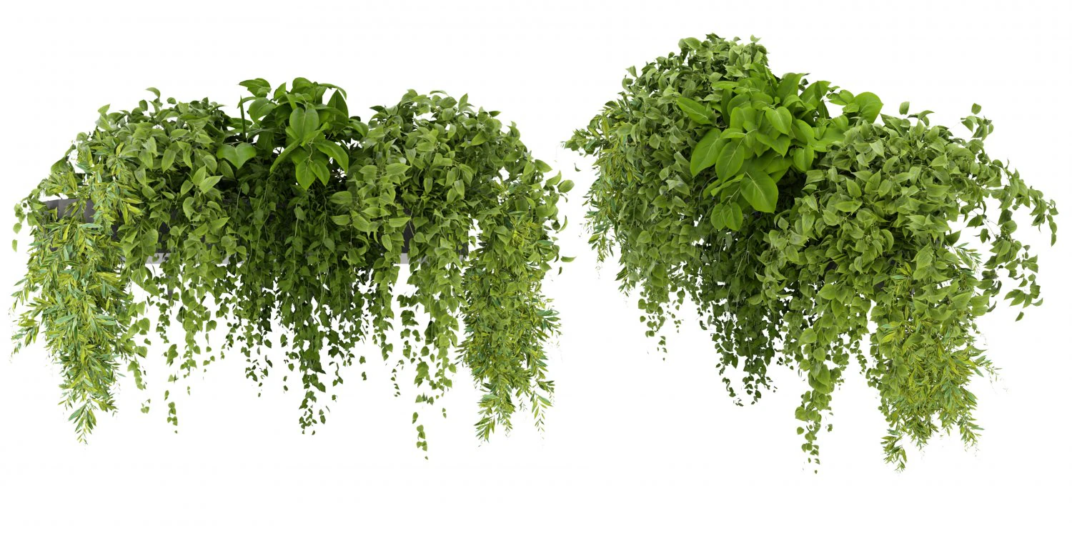 Collection Plant Vol 248 - Blender Model 3D Model .c4d .max .obj .3ds .fbx .stl .blend 