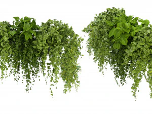 Collection Plant Vol 248 - Blender Model 3D Model