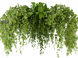 Collection Plant Vol 248 - Blender Model 3D Модель