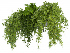 Collection Plant Vol 248 - Blender Model 3D Модель