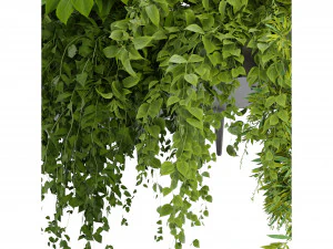 Collection Plant Vol 248 - Blender Model 3D Model