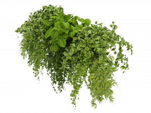 Collection Plant Vol 248 - Blender Model 3D Модель