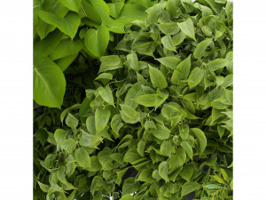 Collection Plant Vol 248 - Blender Model 3D Модель