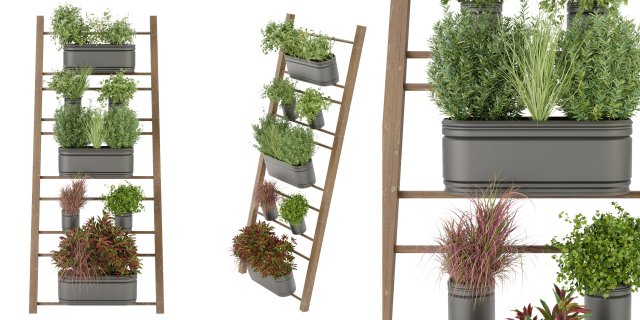 Collection Plant Vol 250 - Blender Model 3D Модель .c4d .max .obj .3ds .fbx .stl .blend 