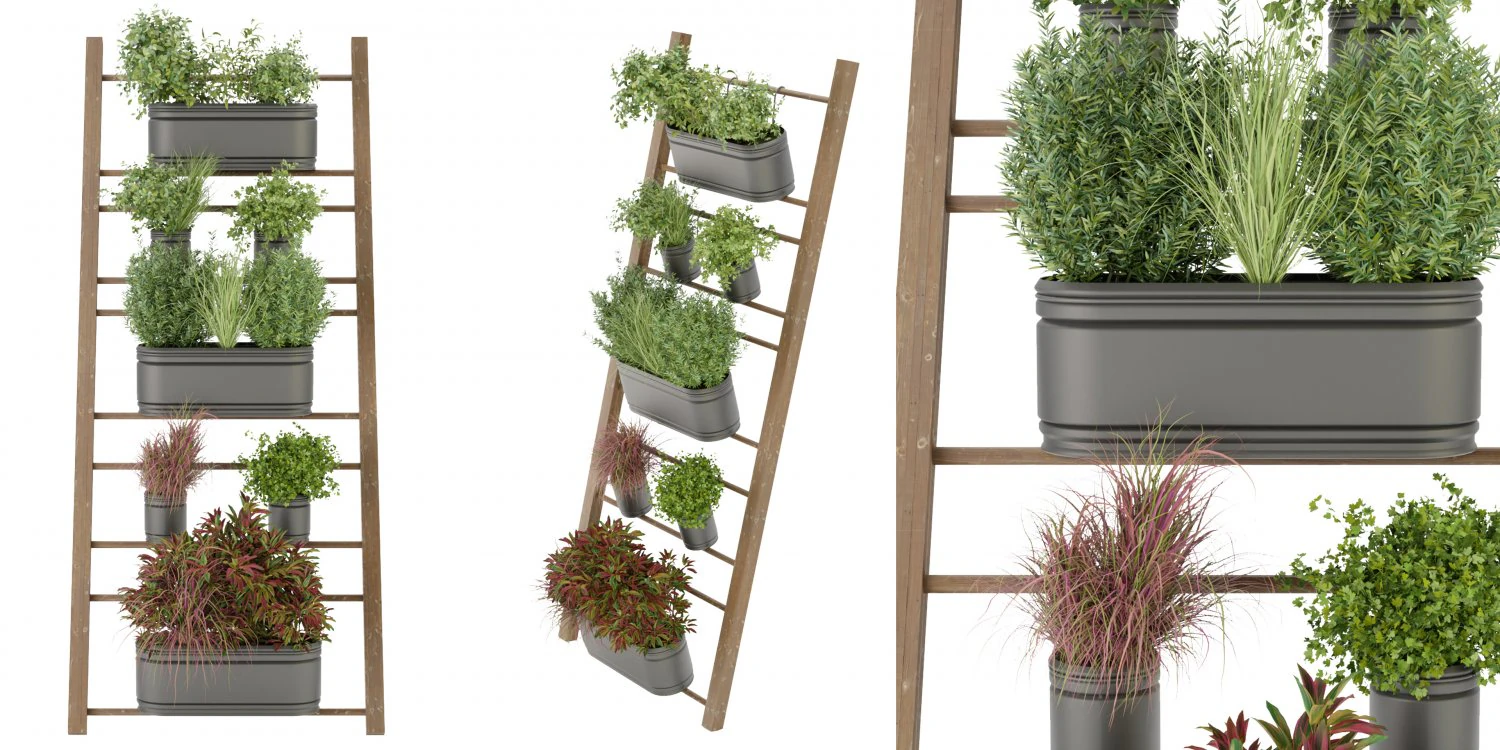 Collection Plant Vol 250 - Blender Model 3D Model .c4d .max .obj .3ds .fbx .stl .blend 