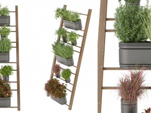Collection Plant Vol 250 - Blender Model 3D Модель