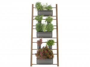 Collection Plant Vol 250 - Blender Model 3D Модель