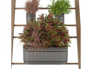 Collection Plant Vol 250 - Blender Model 3D Model