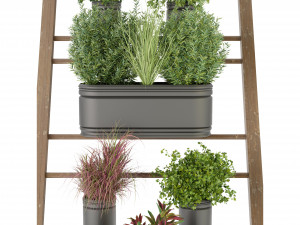 Collection Plant Vol 250 - Blender Model 3D Модель