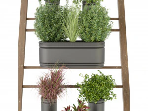 Collection Plant Vol 250 - Blender Model 3D Model
