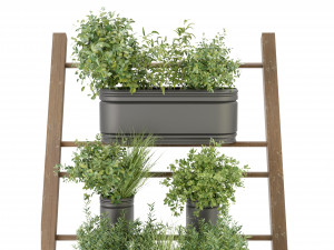 Collection Plant Vol 250 - Blender Model 3D Модель