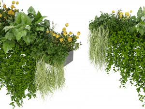 कलेक्शन प्लांट वॉल्यूम 252 - ब्लेंडर मॉडल 3D मॉडल