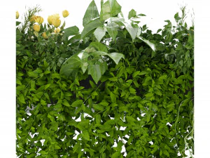 Collection Plant Vol 252 - Blender Model 3D Model