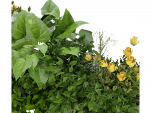 Collection Plant Vol 252 - Blender Model 3D Модель