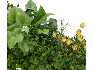 Collection Plant Vol 252 - Blender Model 3D Model