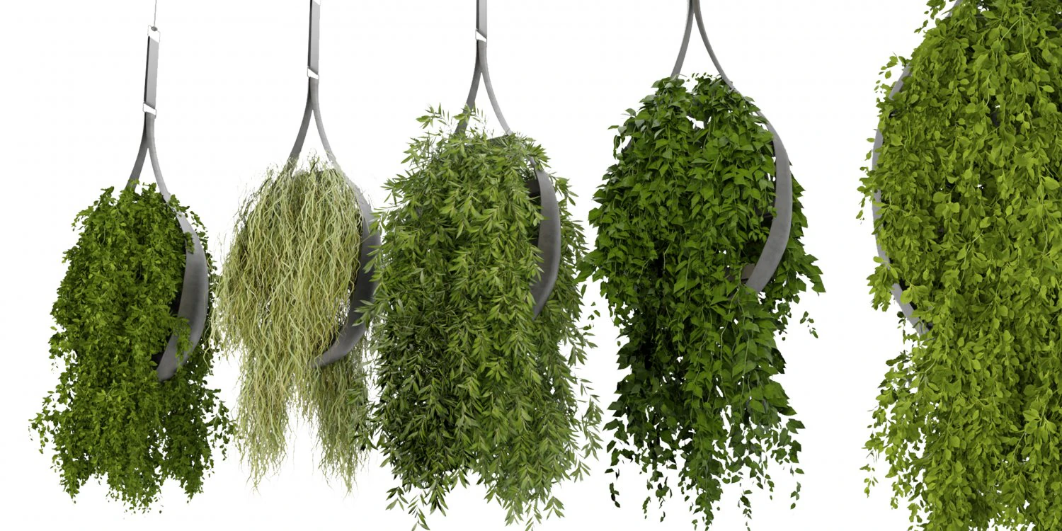 Collection Plant Vol 253 - Blender Model 3D Model .c4d .max .obj .3ds .fbx .stl .blend 