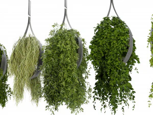 कलेक्शन प्लांट वॉल्यूम 253 - ब्लेंडर मॉडल 3D मॉडल