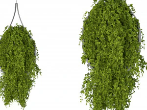 Collection Plant Vol 253 - Blender Model 3D Model