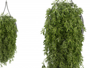 Collection Plant Vol 253 - Blender Model Model 3D
